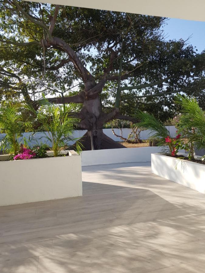 4-Pers Accomodatie Julianadorp, Curacao Willemstad Exteriér fotografie
